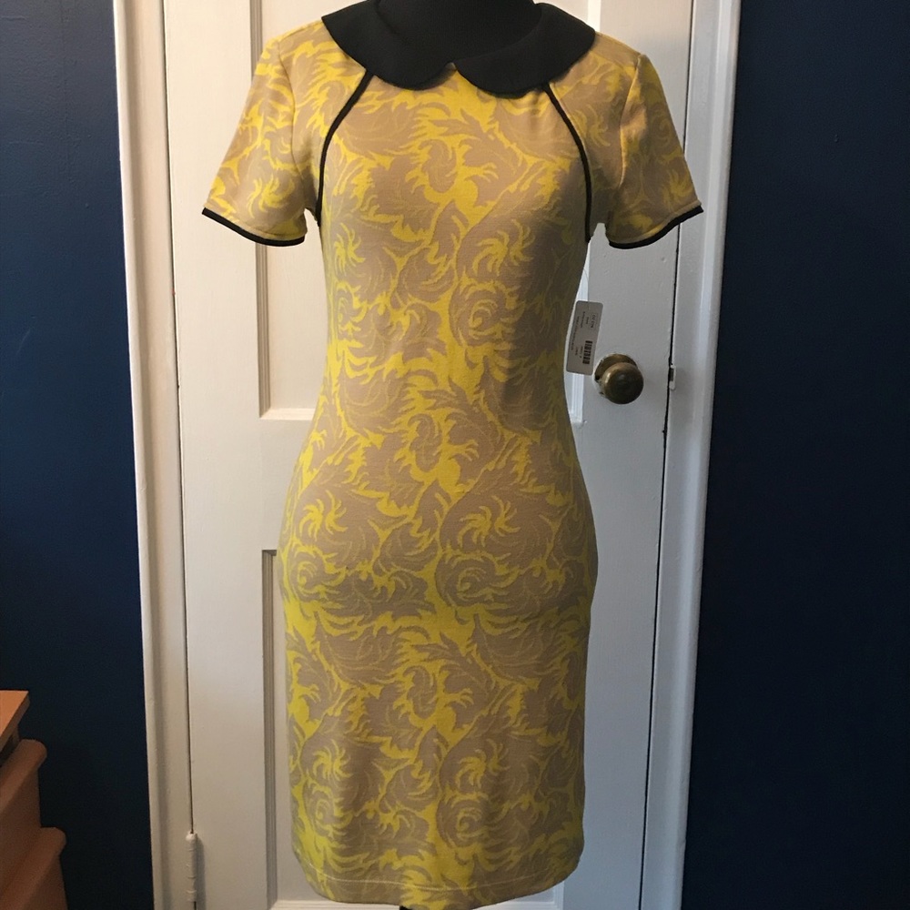 Short-sleeve knit dress